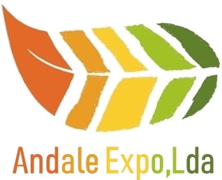 Andale Expo, Lda